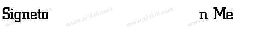 Signeton Medium字体转换
